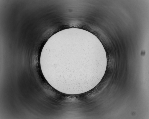X0000103910502200810311435