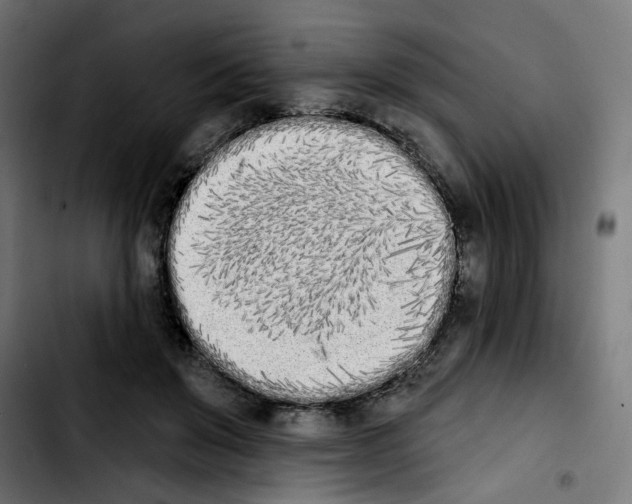 X0000103910503200810311435