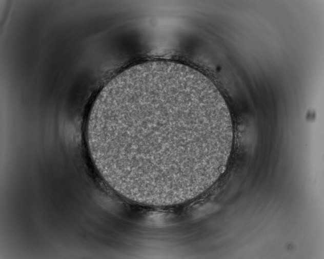 X0000103910504200810311435