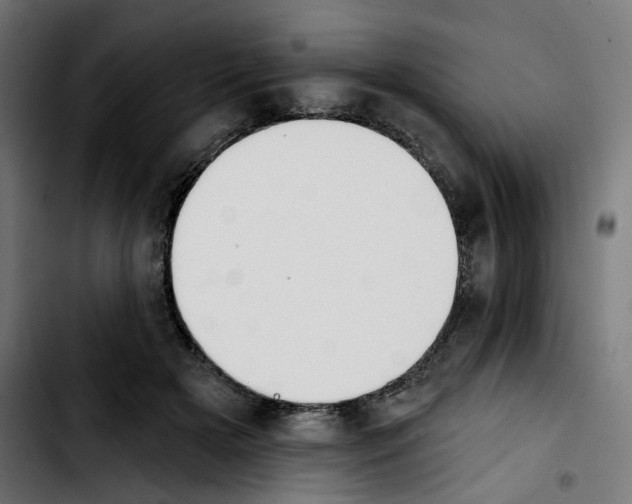 X0000103910505200810311435
