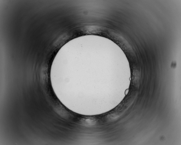 X0000103910506200810311435