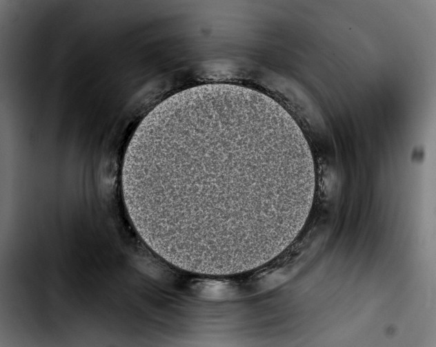 X0000103910507200810311435