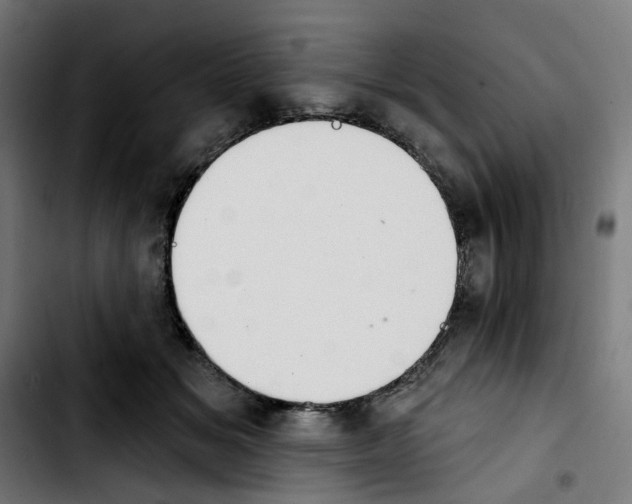 X0000103910509200810311435