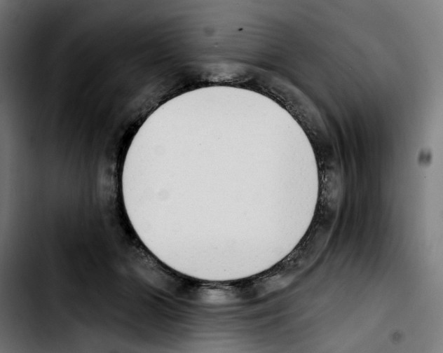 X0000103910510200810311435