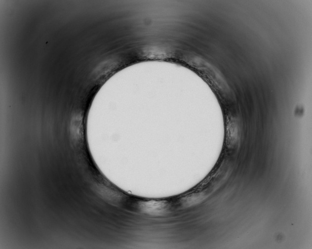 X0000103910511200810311435