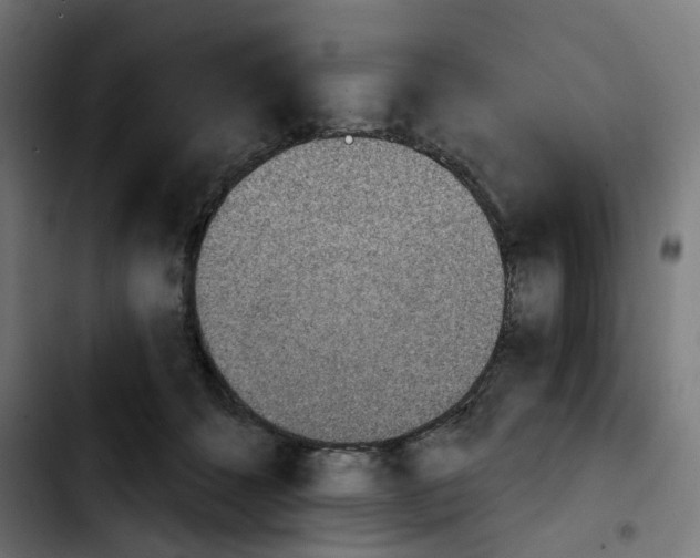 X0000103910512200810311435