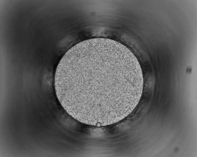 X0000103910513200810311435