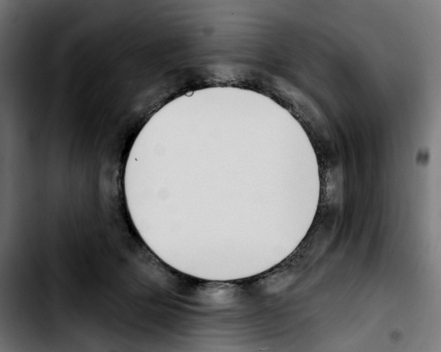 X0000103910514200810311435