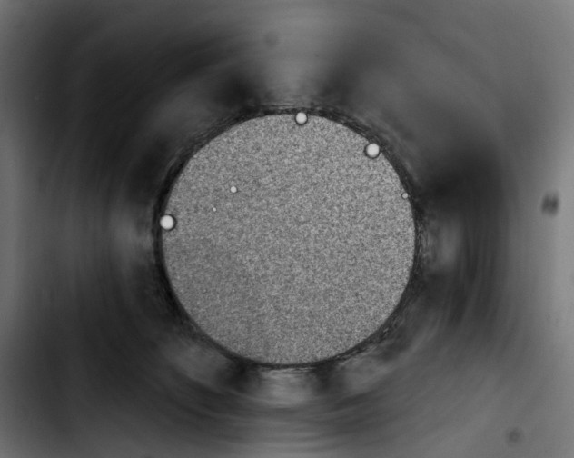 X0000103910516200810311435