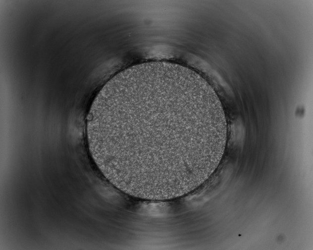 X0000103910517200810311435