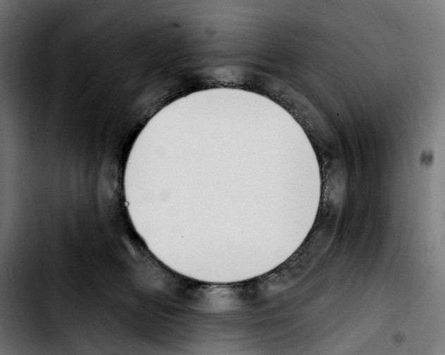 X0000103910518200810311435