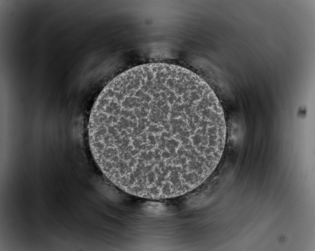 X0000103910519200810311435