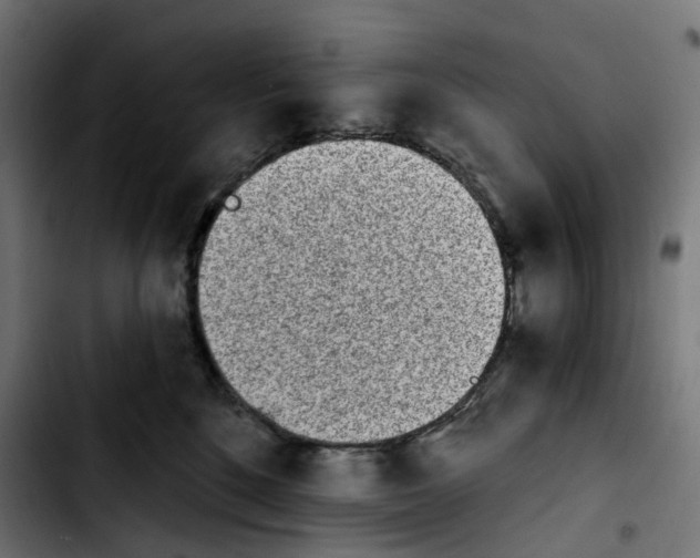 X0000103910520200810311435