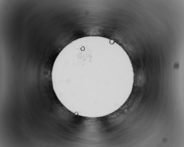 X0000103910521200810311435