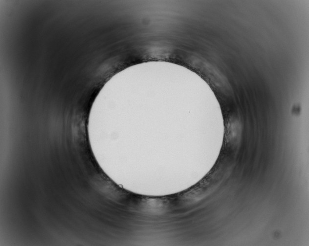 X0000103910522200810311435
