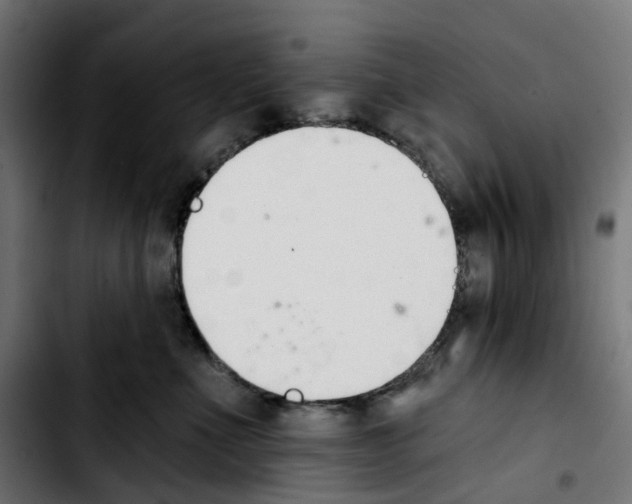 X0000103910523200810311435