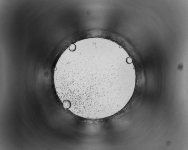 X0000103910524200810311435