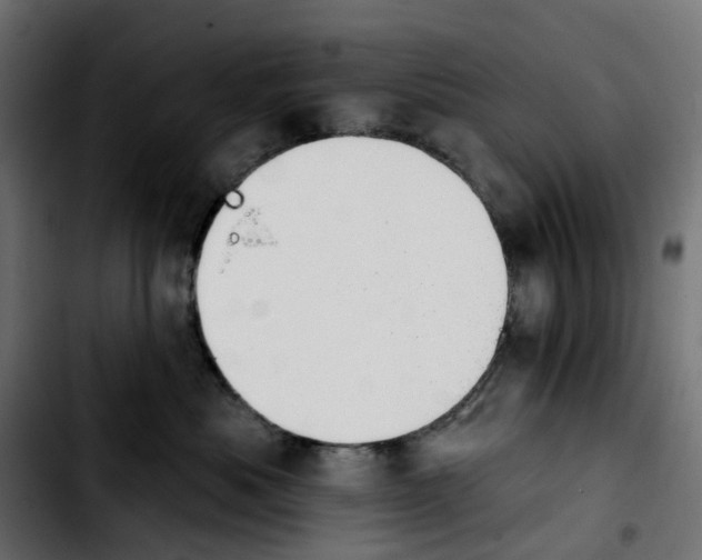 X0000103910525200810311435