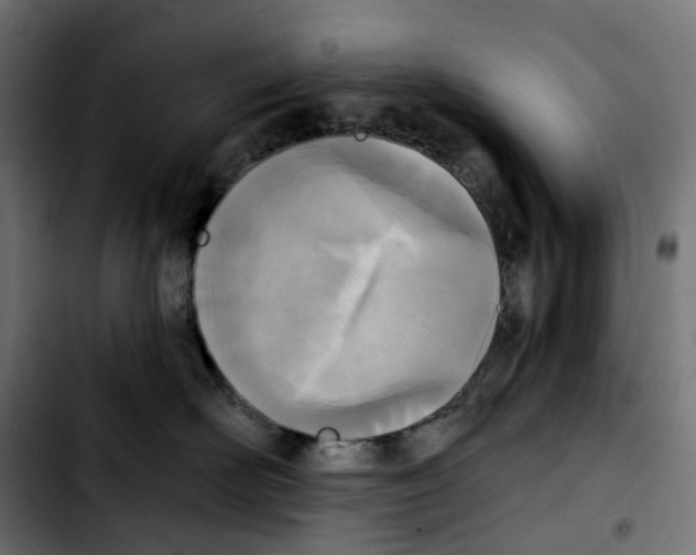X0000103910526200810311435