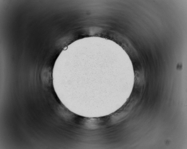 X0000103910527200810311435