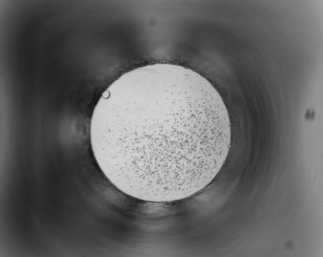 X0000103910528200810311435