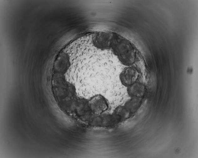 X0000103910529200810311434