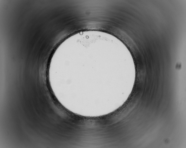 X0000103910530200810311434