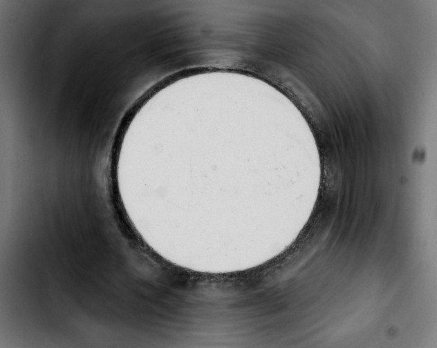 X0000103910532200810311434