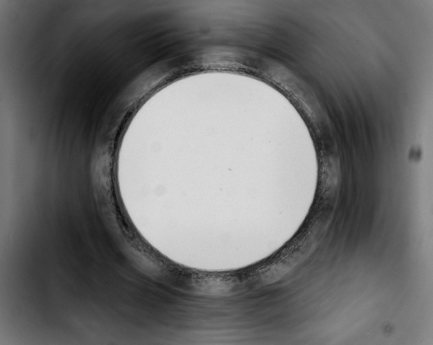 X0000103910533200810311434