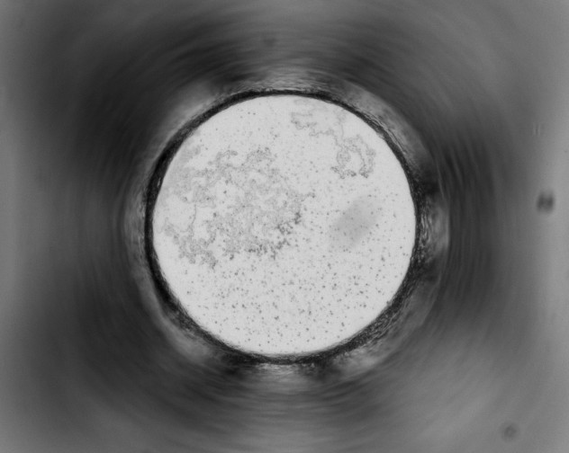 X0000103910534200810311434