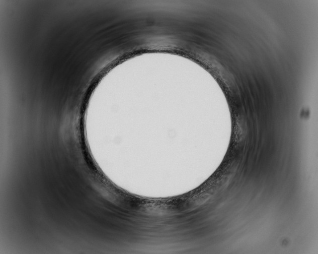 X0000103910535200810311434