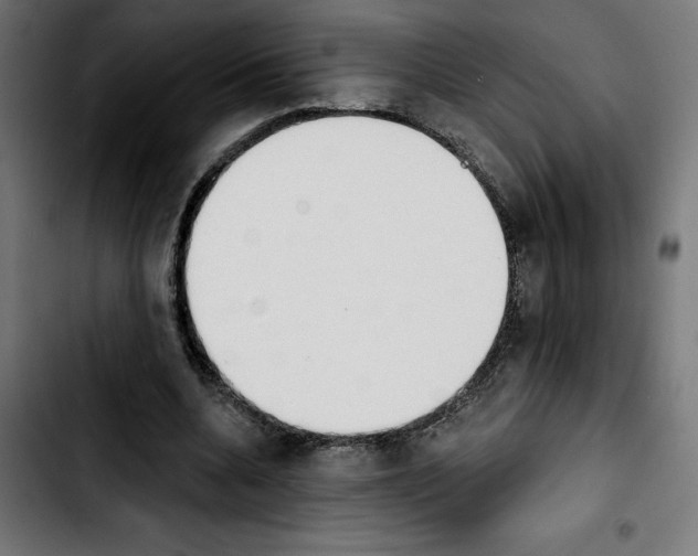 X0000103910536200810311434