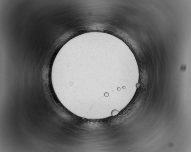 X0000103910537200810311434