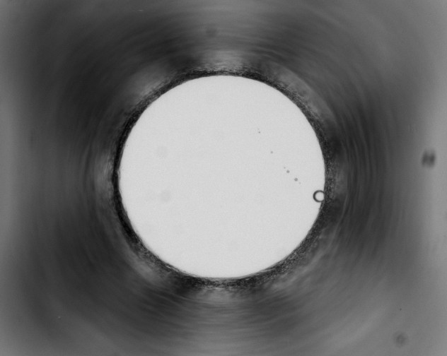 X0000103910538200810311434