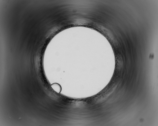 X0000103910539200810311434