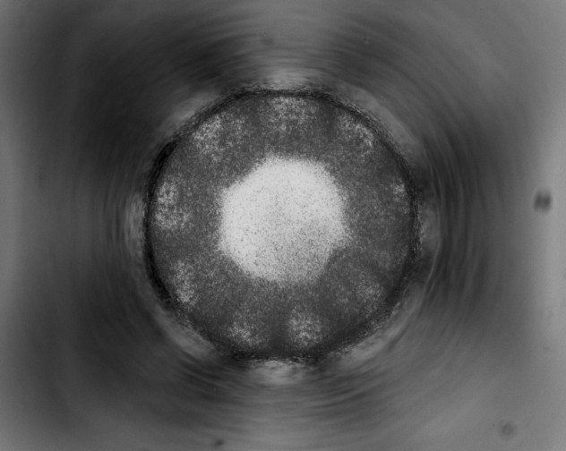 X0000103910542200810311434