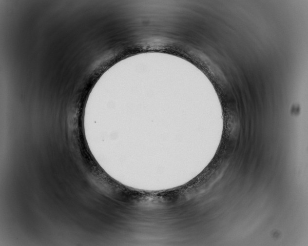 X0000103910543200810311434