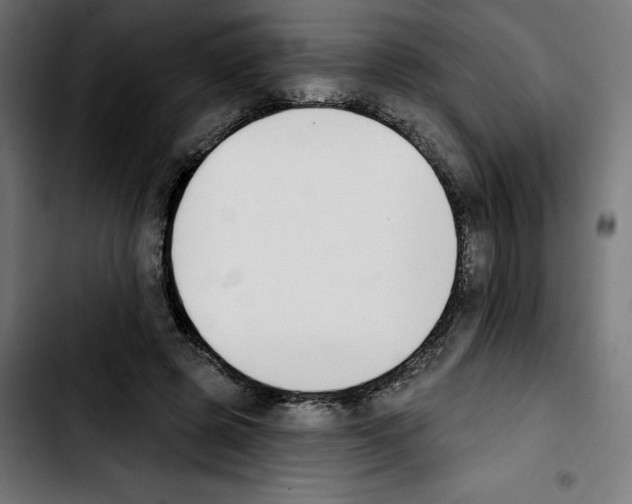 X0000103910545200810311434