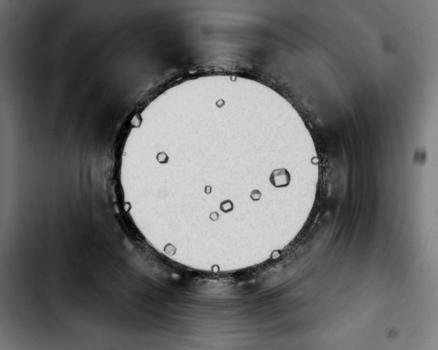 X0000103910548200810311434