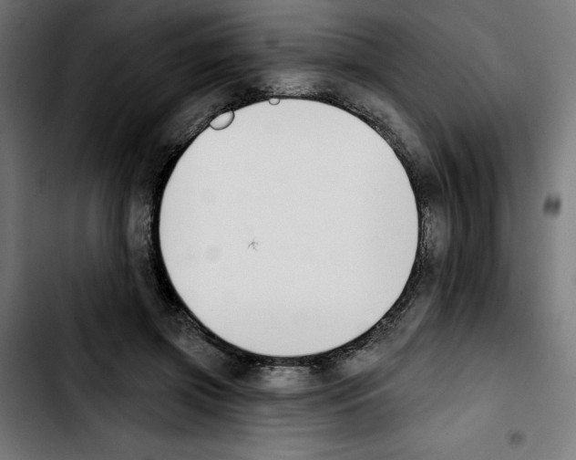 X0000103910549200810311434