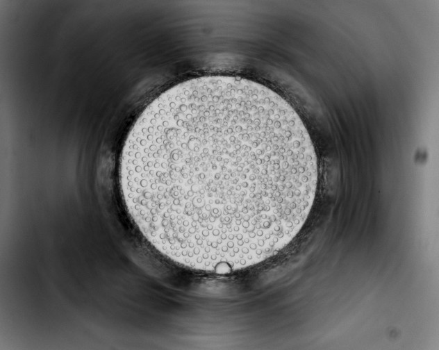 X0000103910550200810311434