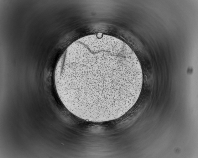 X0000103910551200810311434
