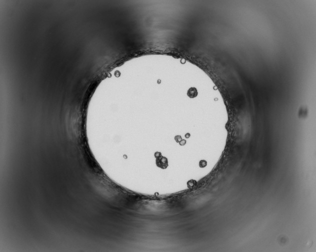 X0000103910552200810311435