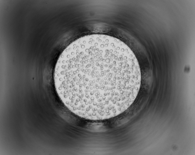 X0000103910554200810311435