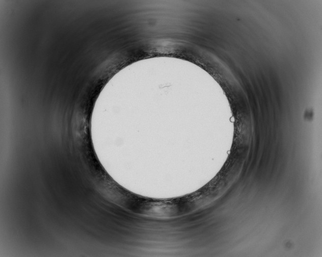 X0000103910555200810311435