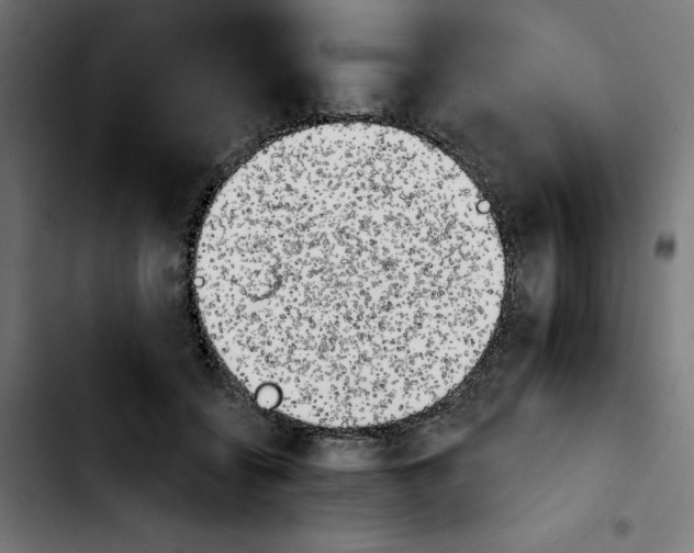 X0000103910556200810311435