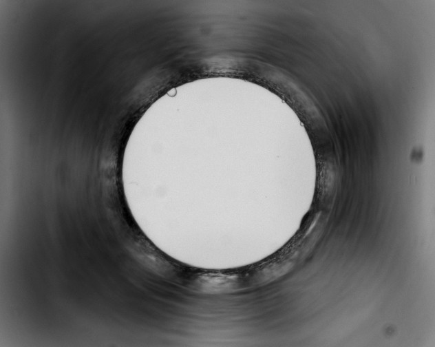 X0000103910557200810311435