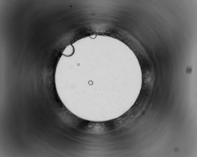 X0000103910559200810311435