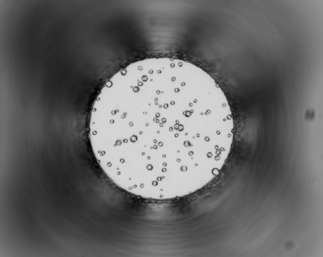 X0000103910560200810311435