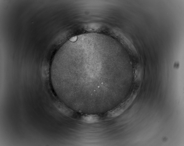 X0000103910561200810311435